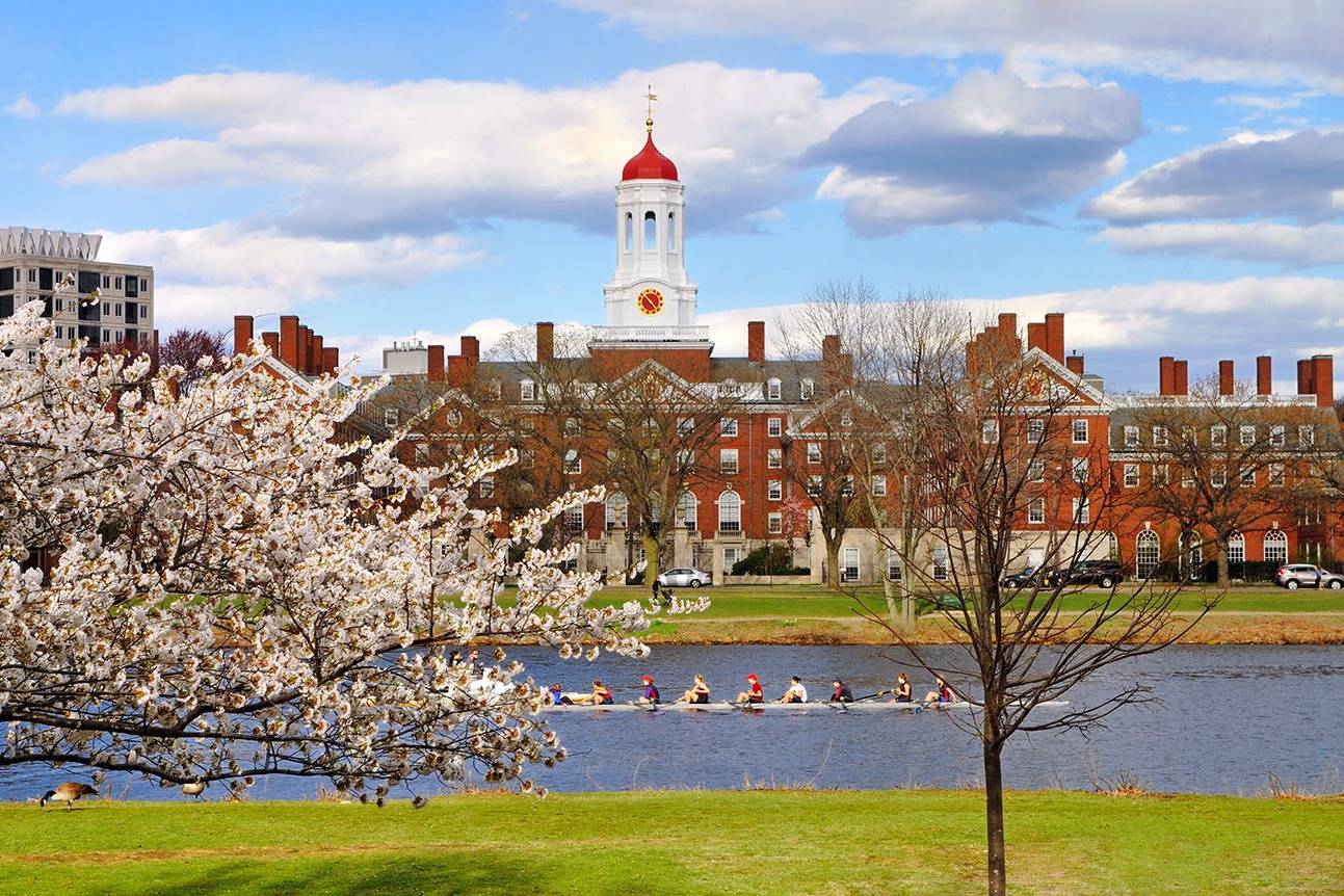 Top 5 universities In The United States 2024_4