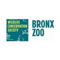 Free Admission For Nyc Students + Camp Groups