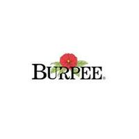 20% Off Next Order Of $60+ With Burpee Email Sign Up