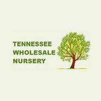 $5 Off 1st Order With Tnnursery Email Sign Up