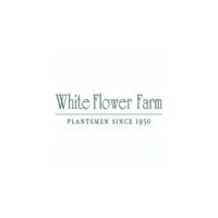 10% Off First Order With Whiteflowerfarm Email Sign Up