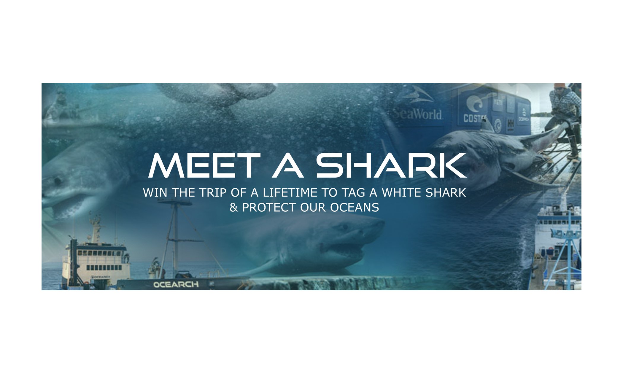 Enter for a Chance to Win a Trip for Two on the Ocearch Shark Research Vessel!