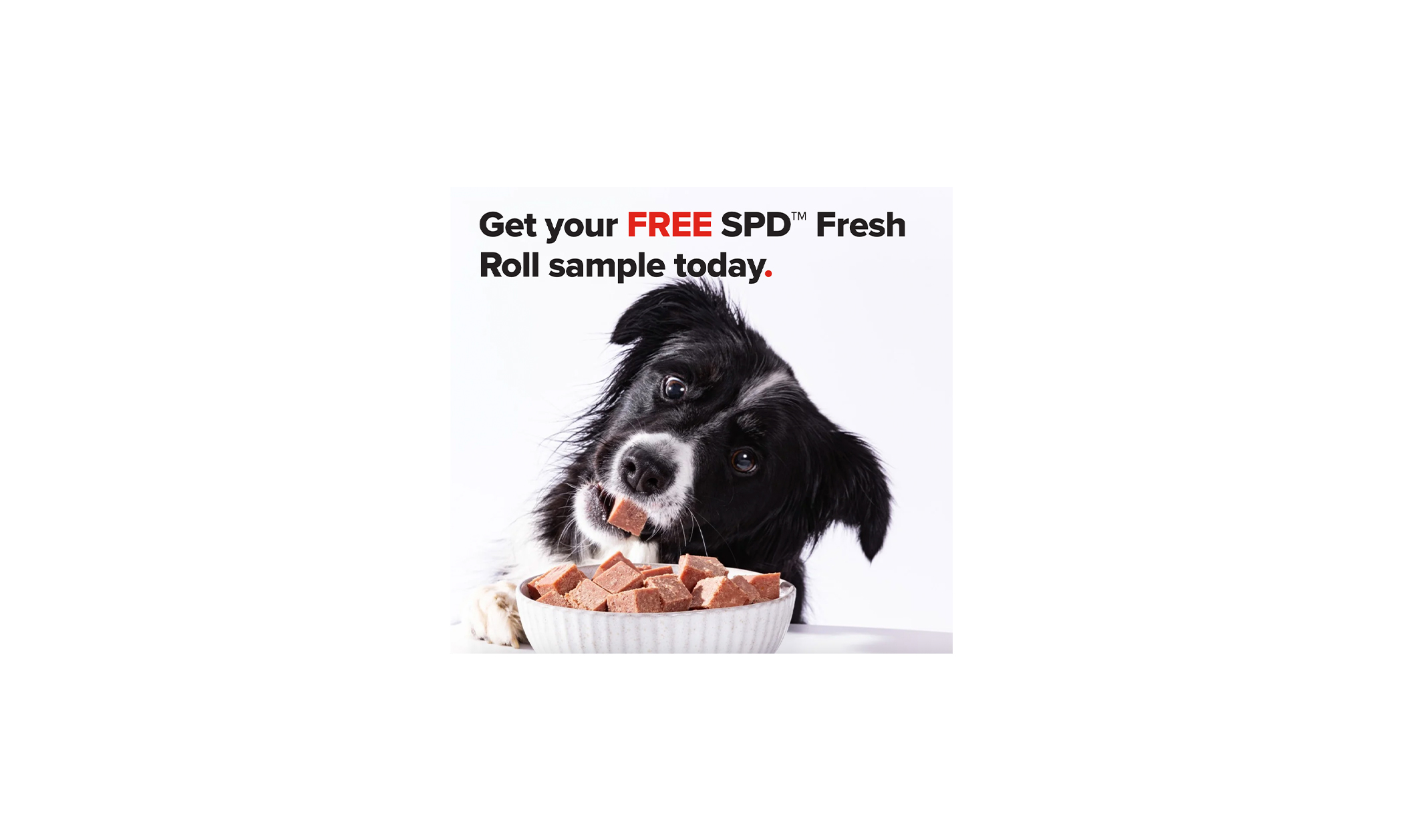 Claim Your FREE Fresh Dog Food!