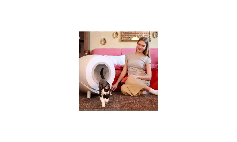 Enter for a Chance to Win a Notty Self Cleaning Litter Box!