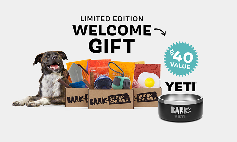 Claim Your FREE Yeti Bowl for Your Pup!