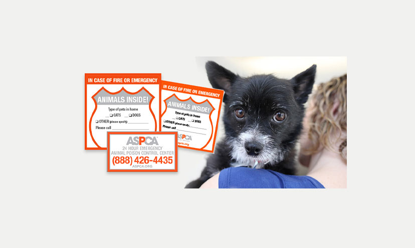 Claim Your FREE ASPCA Pet Safety Pack!