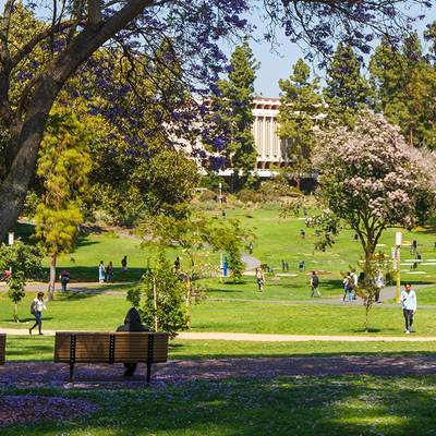 University of California - Irvine