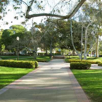 University of California - Los Angeles