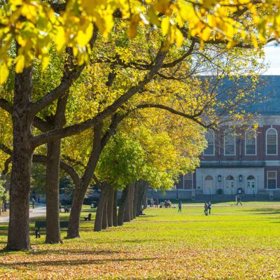 University of Maine