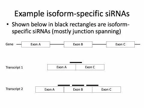 2022-mcb-182-lecture-2-functional-genomics-7519