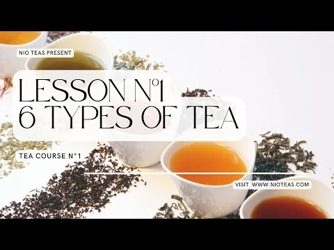 6-different-types-of-tea-tea-course-1-16760