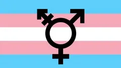 a-beginners-guide-to-trans-101-7739