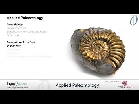 applied-paleontology-course-12520