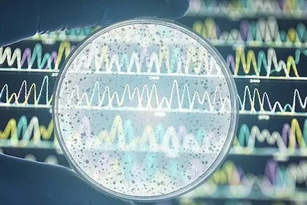 Bacterial Genomes: Disease Outbreaks and Antimicrobial Resistance