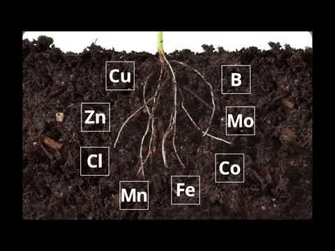 basic-soil-science-101-in-5-minutes-15853