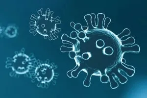 Basics of Virology