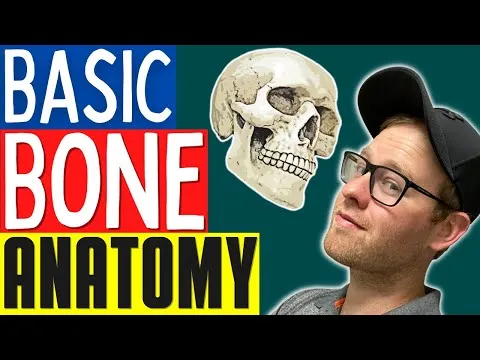 bone-anatomy-for-personal-trainers-and-massage-therapists-learn-skeletal-anatomy-basic-edition-10865