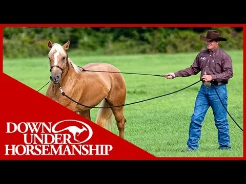 clinton-anderson-training-a-rescue-horse-part-1-downunder-horsemanship-8749