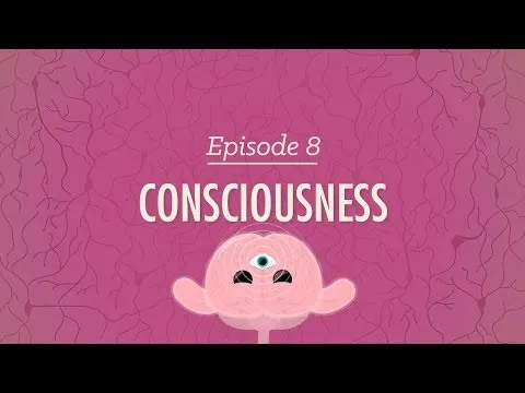 Consciousness: Crash Course Psychology #8