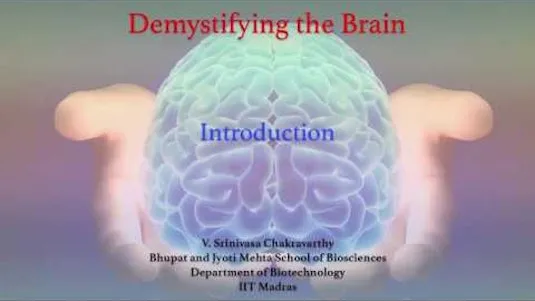 demystifying-the-brain-12110