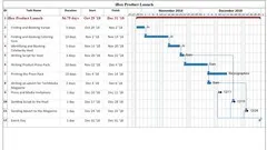 Developing Professional Project Plans through MS Project