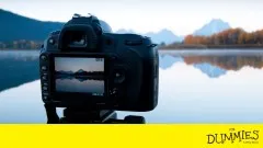 Digital SLR Cameras & Photography For Dummies Video Training