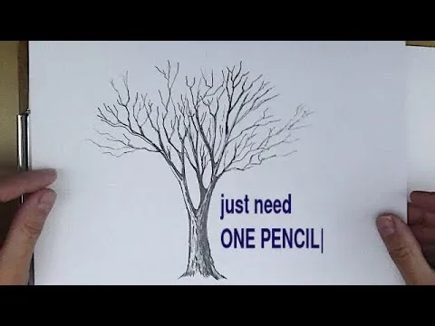 drawing-course-1-how-to-draw-a-tree-with-just-one-pencil-12696