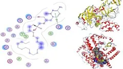 drug-design-and-molecular-docking-by-using-computation-tools-2172