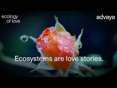 ecology-of-love-with-dr-andreas-weber-an-online-course-10493