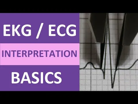 ekg-ecg-interpretation-basics-nursing-nclex-qrs-complex-p-wave-t-wave-pr-interval-2032