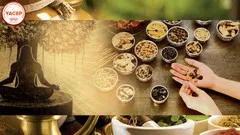 essentials-of-ayurveda-a-holistic-course-on-food-science-24-7340