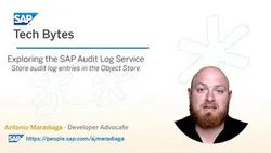 exploring-the-sap-audit-log-service-store-audit-log-entries-in-the-object-store-4754