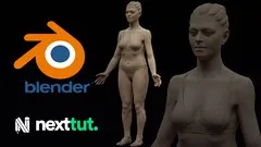 Female Anatomy Sculpting in Blender Course