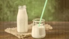 fermented-dairy-101-6849