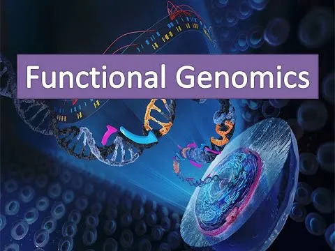 Functional Genomics