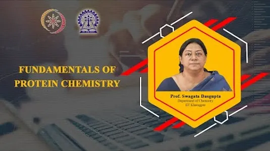 fundamentals-of-protein-chemistry-2152