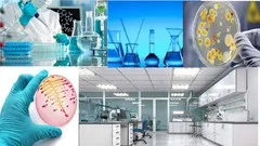 good-laboratory-practices-12912