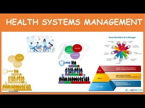 health-systems-management-leadership-and-management-levels-8524