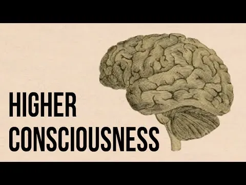 Higher Consciousness