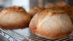 how-to-bake-real-artisan-bread-2484