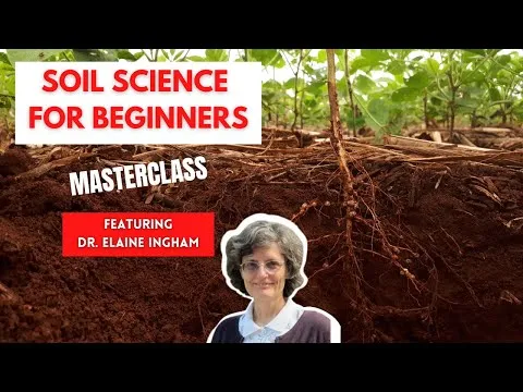 how-to-build-great-soil-a-soil-science-masterclass-with-dr-elaine-ingham-part-1-of-4-15854