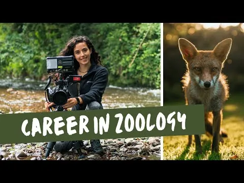 how-to-get-into-wildlife-conservation-zoology-degree-volunteering-working-with-animals-18562