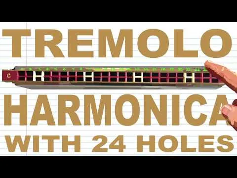 how-to-play-a-tremolo-harmonica-with-24-holes-8476