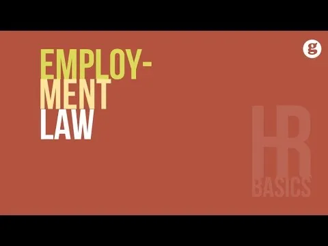 hr-basics-employment-law-6171