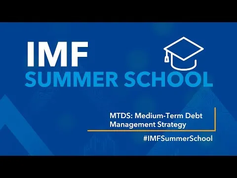 imf-summer-school-medium-term-debt-management-strategy-mtdsx-5139