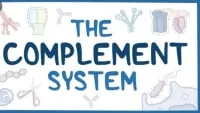 Immunology Lecture 17 Complement System