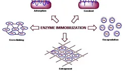 industrial-microbiology-11175