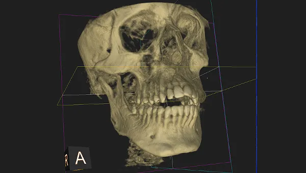 introduction-to-dental-medicine-2034