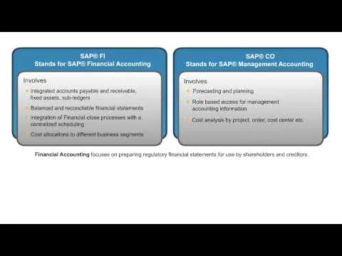 introduction-to-sap-fi-co-consultant-training-sap-financial-accounting-fi-training-online-sap-videos-15098