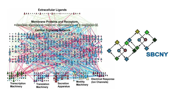 introduction-to-systems-biology-2049